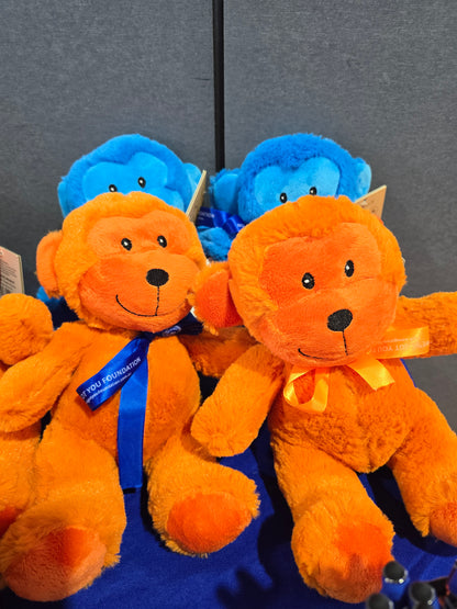 WGYF Jelly Bean Teddies 20cm